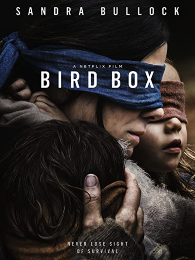 Bird Box movie poster